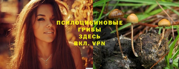apvp Володарск
