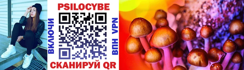 Псилоцибиновые грибы Psilocybine cubensis  Отрадное 